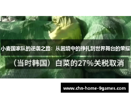 小麦国家队的逆袭之路：从困境中的挣扎到世界舞台的荣耀